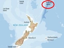 Cutremur cu magnitudinea de moment 6,7 în largul Noii Zeelande