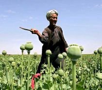 ONU vrea să producă ?inflaţie? de droguri în Afganistan pentru a produce devalorizare

