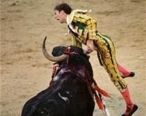 Un matador spaniol, rănit grav de un taur furios, sub privirile spectatorilor (IMAGINI ŞOCANTE)