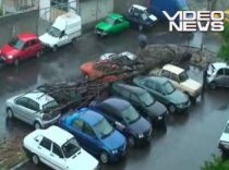 Atenţie, cad copacii! Maşini avariate, după ce un pom a căzut peste ele (VIDEO)