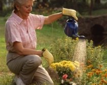 California. Persoanele care udă mai mult de 10 minute florile plătesc amenzi de 1.000 de dolari