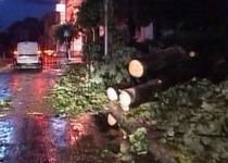 Ploi şi vijelii, în mai multe zone din ţară: Furtunile au smuls copaci şi au dat traficul peste cap (VIDEO)