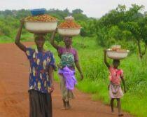 G8 se va angaja să sprijine agricultura africană
