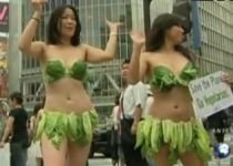 Trei japoneze au protestat în Tokyo, îmbrăcate doar în frunze de salată (VIDEO)

