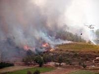 Incendiu de vegetaţie, în apropiere de Autostrada Bucureşti-Piteşti