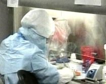 Specialist german: Vaccinul împotriva gripei porcine ar putea duce la apariţia cancerului
