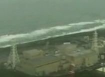 Alerta de tsunami, emisă după cutremurul din India, anulată. În Japonia, un alt seism a făcut 60 de răniţi (VIDEO)
