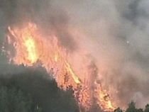 Incendiu puternic de vegetaţie, în California: Peste 250 de locuinţe, evacuate (VIDEO)
