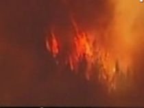 Stare de urgenţă în California din cauza incendiilor de vegetaţie