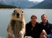 Vedeta fotografiilor de vacanţă: O veveriţă, pozată alături de un cuplu de americani (FOTO) 