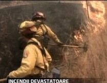 Incendii de vegetaţie în Grecia: Flăcările au scăpat de sub control în centrul ţării (VIDEO)