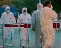 Gripa porcină ar putea ucide peste trei milioane de europeni (VIDEO)