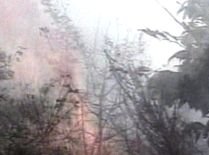 Incendiu, izbucnit într-o pădure din Iaşi: 10 hectare de lizieră, mistuite de flăcări (VIDEO)