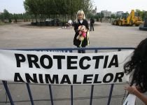 Organizaţiile pentru protecţia animalelor au pichetat sediul Parlamentului