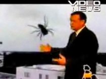 A prezentat rubrica meteo alături de...un păianjen uriaş (VIDEO)