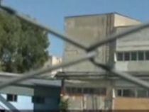 Bucăţi din trupul devorat de animale al unui nou-născut, descoperite în curtea unei fabrici din Bacău (VIDEO)