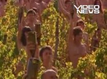 S-au dezbrăcat într-o vie din Franţa, demonstrând faţă de schimbările climatice (VIDEO)