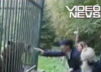 Au încercat să îmbete ursul de la Grădina Zoologică din Braşov (VIDEO)