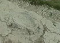 Descoperire importantă în Franţa: Amprente de dinozaur, vechi de peste 150 milioane ani (VIDEO)