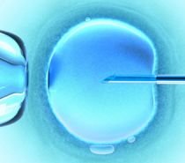 Fertilizarea in vitro, interzisă de lege, printr-un ordin al fostului Ministru al Sănătăţii, Ion Bazac