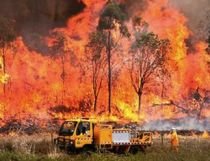 Incendii de vegetaţie în Australia. Mai multe localităţi, înconjurate de flăcări