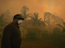 Australia. Incendiile de vegetaţie au scăpat de sub control