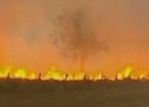 Australia, mistuită de flăcări: 70.000 hectare de teren au ars în mai puţin de o săptămână (VIDEO)