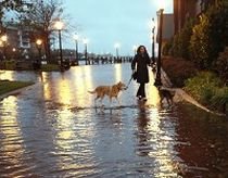 SUA. Cel puţin şase oameni au murit în urma inundaţiilor provocate de furtuna tropicală Ida