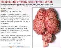 Studiu: Creierul oamenilor se micşorează, însă rasa umană evoluează