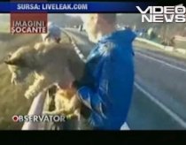 Un tânăr lituanian a aruncat un câine de pe pod (IMAGINI ŞOCANTE)