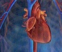 Lipsa fondurilor pune în pericol vieţile pacienţilor cu probleme cardiace din Târgu Mureş