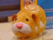 Hamsterii Zhu Zhu, cele mai populare jucării din SUA (VIDEO)