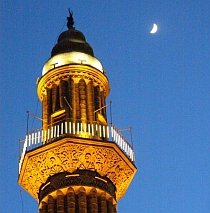Elveţia va vota pentru interzicerea minaretelor
