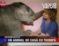 O femeie din Ucraina are un elefant de companie (VIDEO)