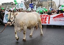 Franţa. Zeci de fermieri au protestat lângă palatul Elysee faţă de declinul agriculturii