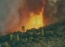 Incendiu devastator în Chile: 15 case distruse şi mai multe hectare de pădure arse în întregime
