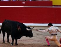 Luptele cu tauri, interzise în Catalunia, din luna mai