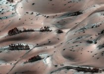 Copaci pe Marte? Fotografia care i-a uimit pe cercetătorii NASA (FOTO)