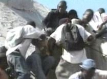 Coşmarul continuă în Haiti: Oamenii disperaţi se luptă pentru alimente, hoţii jefuiesc ruinele (VIDEO)