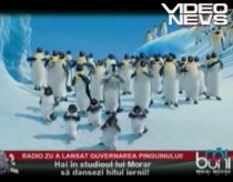 Noul imn al politicienilor? "Un pinguin conduce Guvernul şi totul se mişcă greu, greu, greu!" (VIDEO)