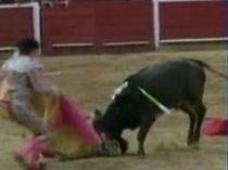 Un copil-toreador din Columbia a fost rănit de taur (VIDEO) 
