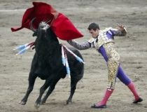 Record la coridă: Un matador de 16 ani a ucis şase tauri într-o singură partidă