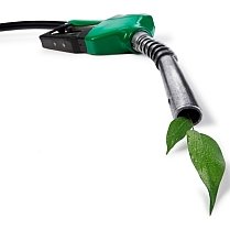 Raport: Biocombustibilul afectează producţia agricolă în statele emergente
