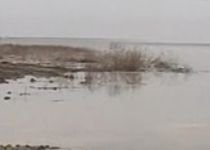 Dunărea a ieşit din matcă: Sute de hectare de teren, inundate. Vezi când se emite Cod Roşu (VIDEO)
