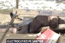 Un bărbat a murit electrocutat în Popeşti-Leordeni. Un altul este rănit (VIDEO)