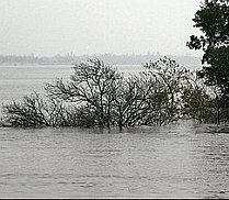 Schimbare climatică: insulă disputată de India şi Bangladesh  a fost acoperită de ape

