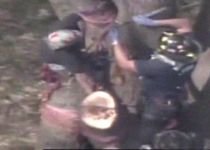 American captiv în copac în timp ce tăia crengile uscate (VIDEO)