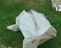 Imagini şocante. Un bărbat şi-a decapitat tatăl şi s-a plimbat cu capul prin sat (VIDEO)