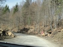 Turist în România: Drumul dintre Bixad şi Băile Balvanyos, într-o stare deplorabilă (FOTO) 