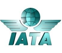 IATA: Cinci companii aeriene din Europa ar putea da faliment după "criza norului de cenuşă"